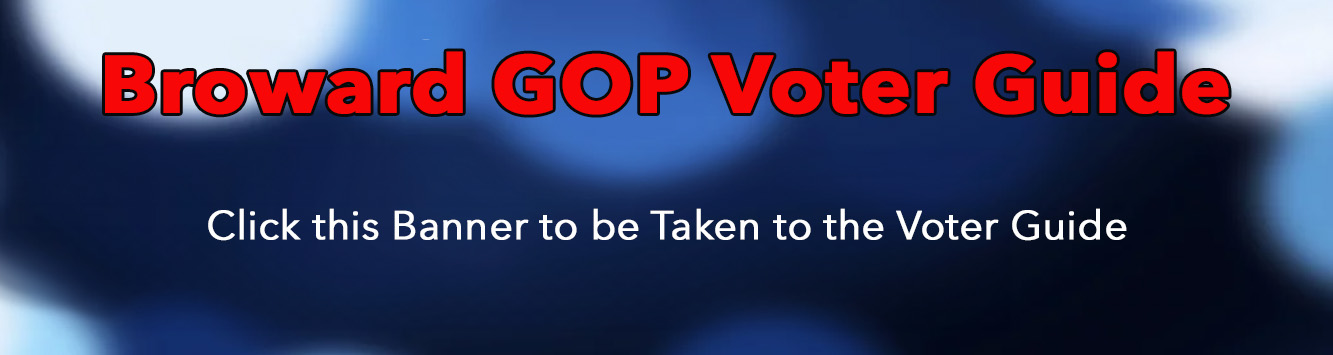 Voter Guide
